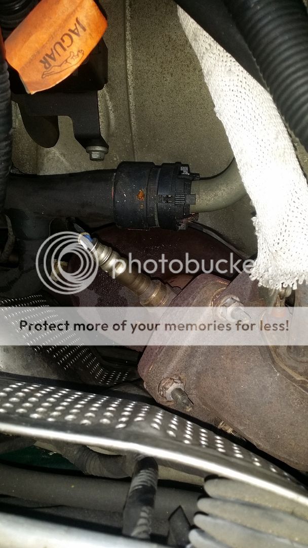 XK8 Coolant Leak Photo by SpitfireXXI Photobucket